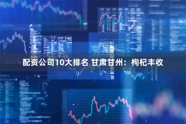配资公司10大排名 甘肃甘州：枸杞丰收